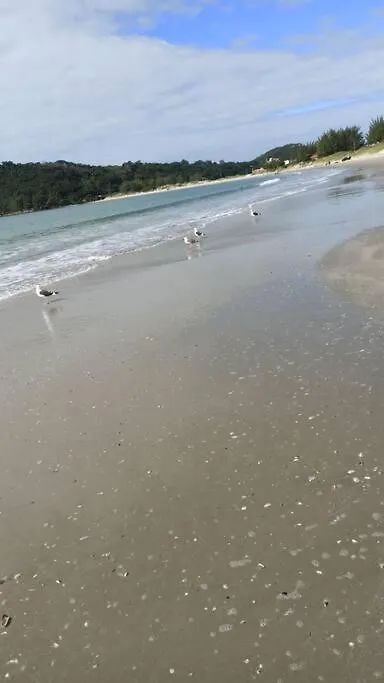Apartamento Na Ponta Do Papagaio Com Dois Quartos Completo! A Apenas 2 Quadras Do Mar! Palhoca Brazil